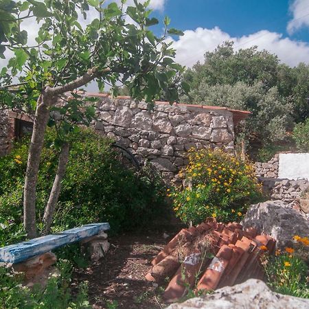 Вилла Casa Do Professor Casais dos Monizes Экстерьер фото