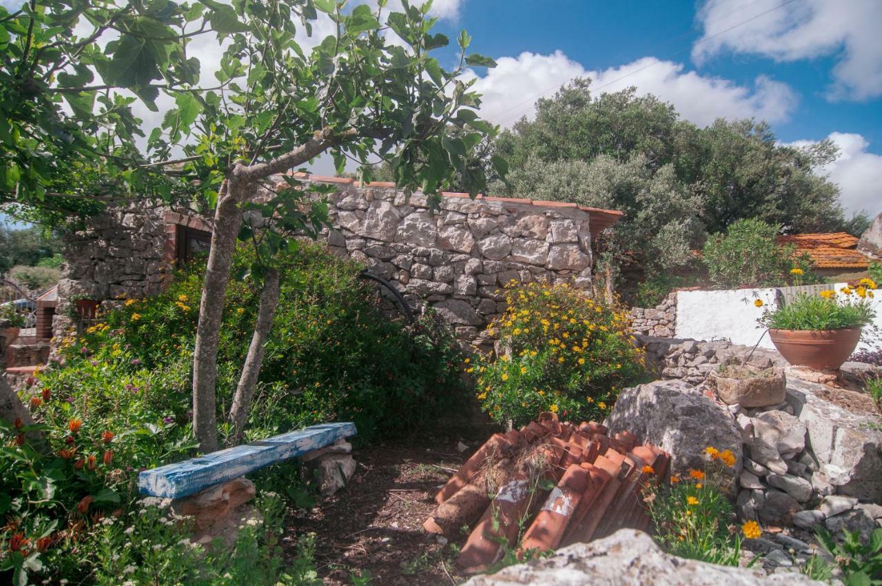 Вилла Casa Do Professor Casais dos Monizes Экстерьер фото